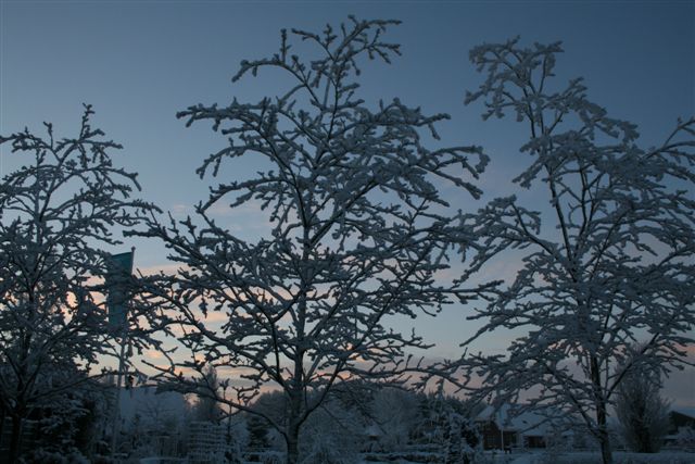 januari sneeuw 3