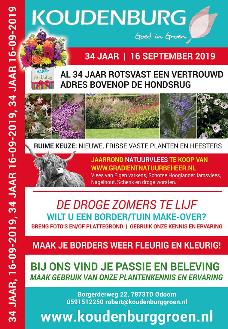 advertentie week 38