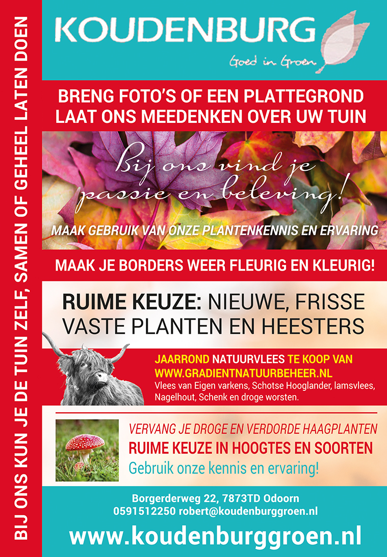 advertentie week 41