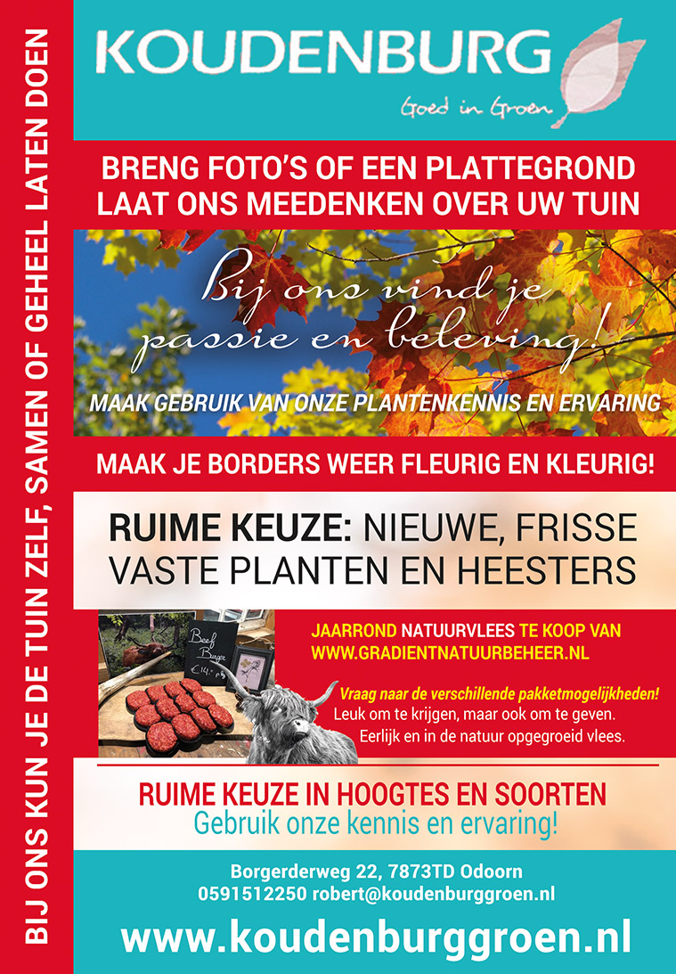 advertentie week 43