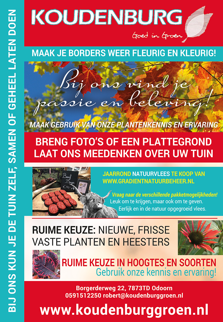 advertentie week 45