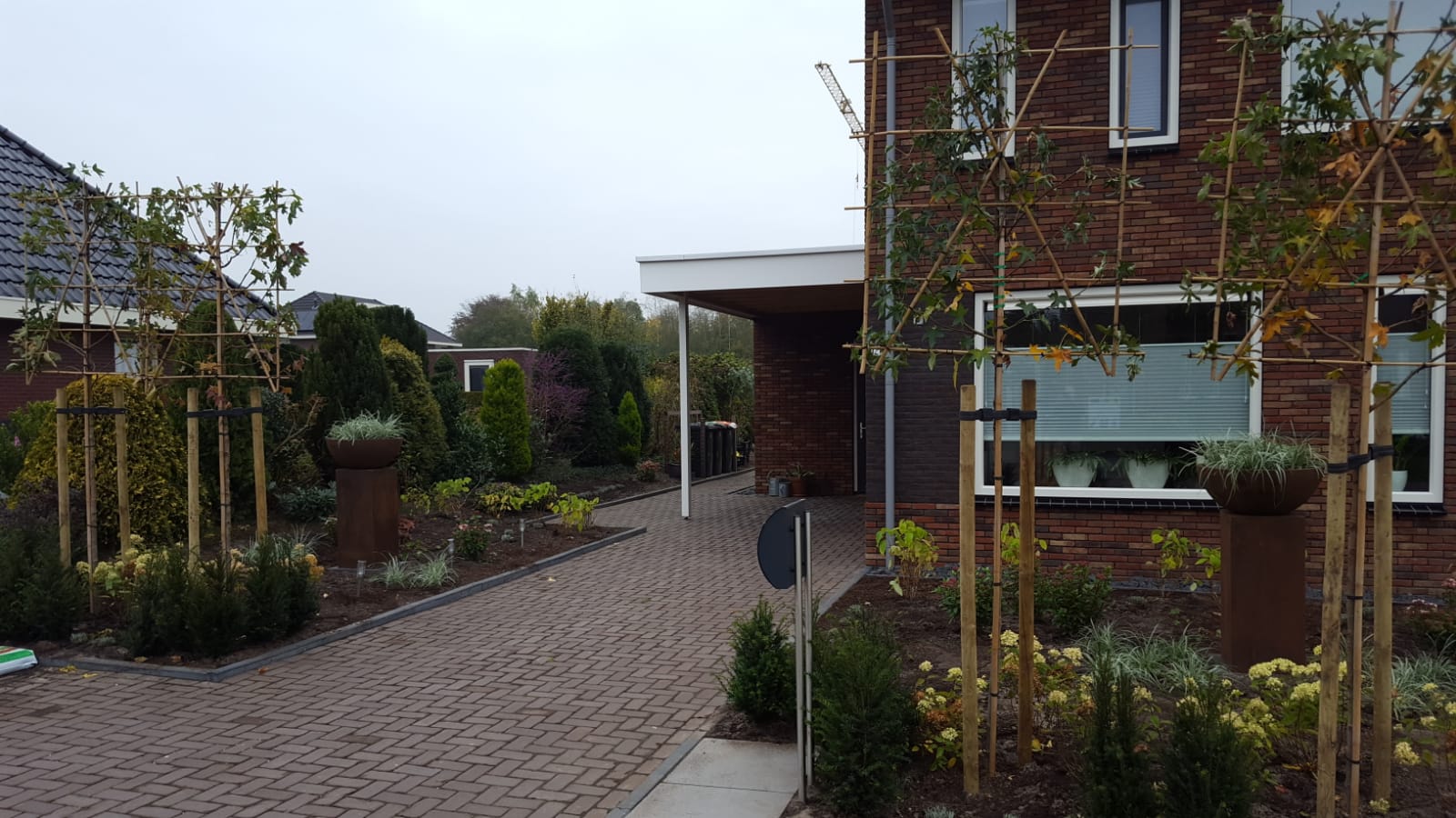 borger november 3 borger november 3