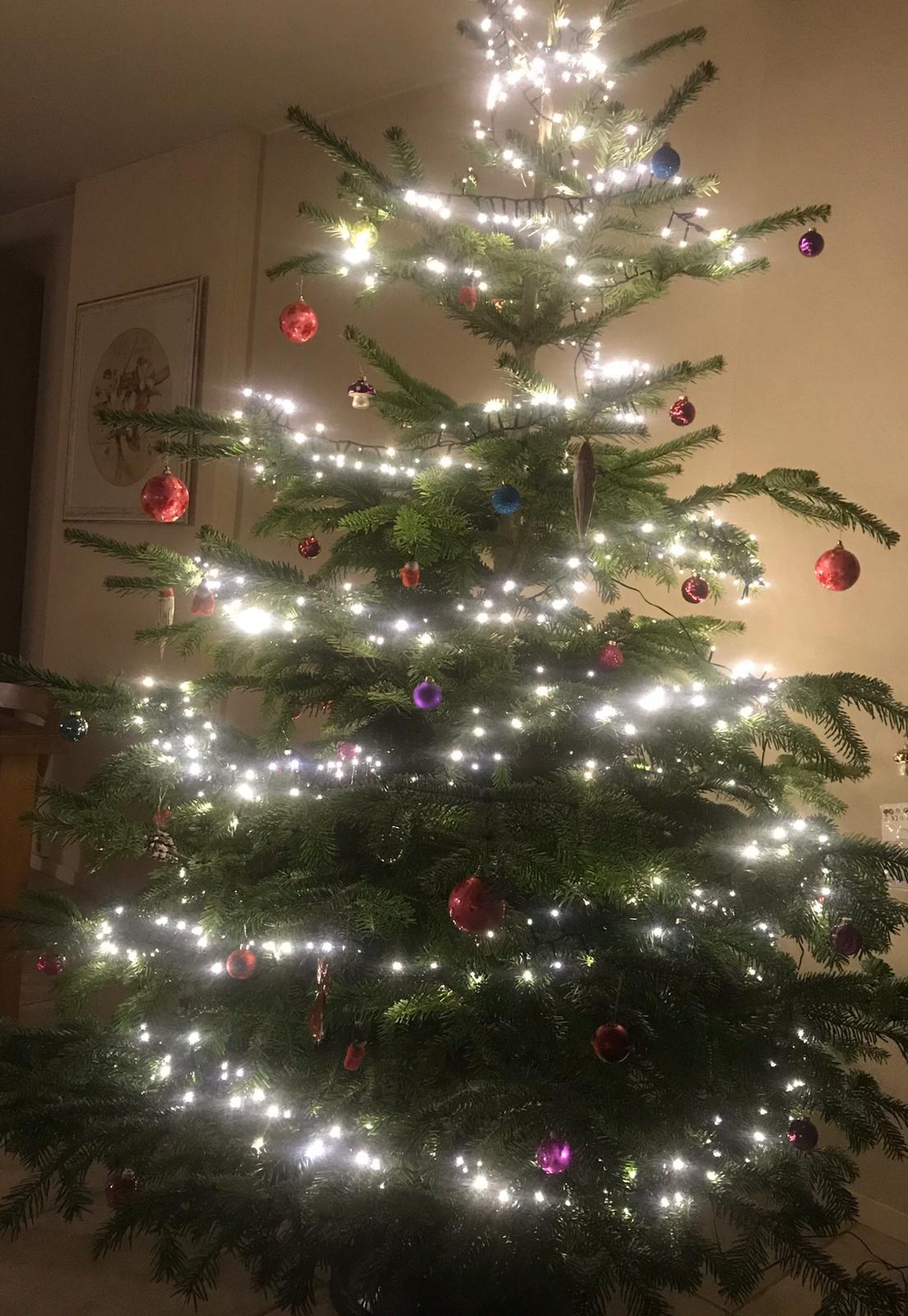 Kerstboom 2019 4