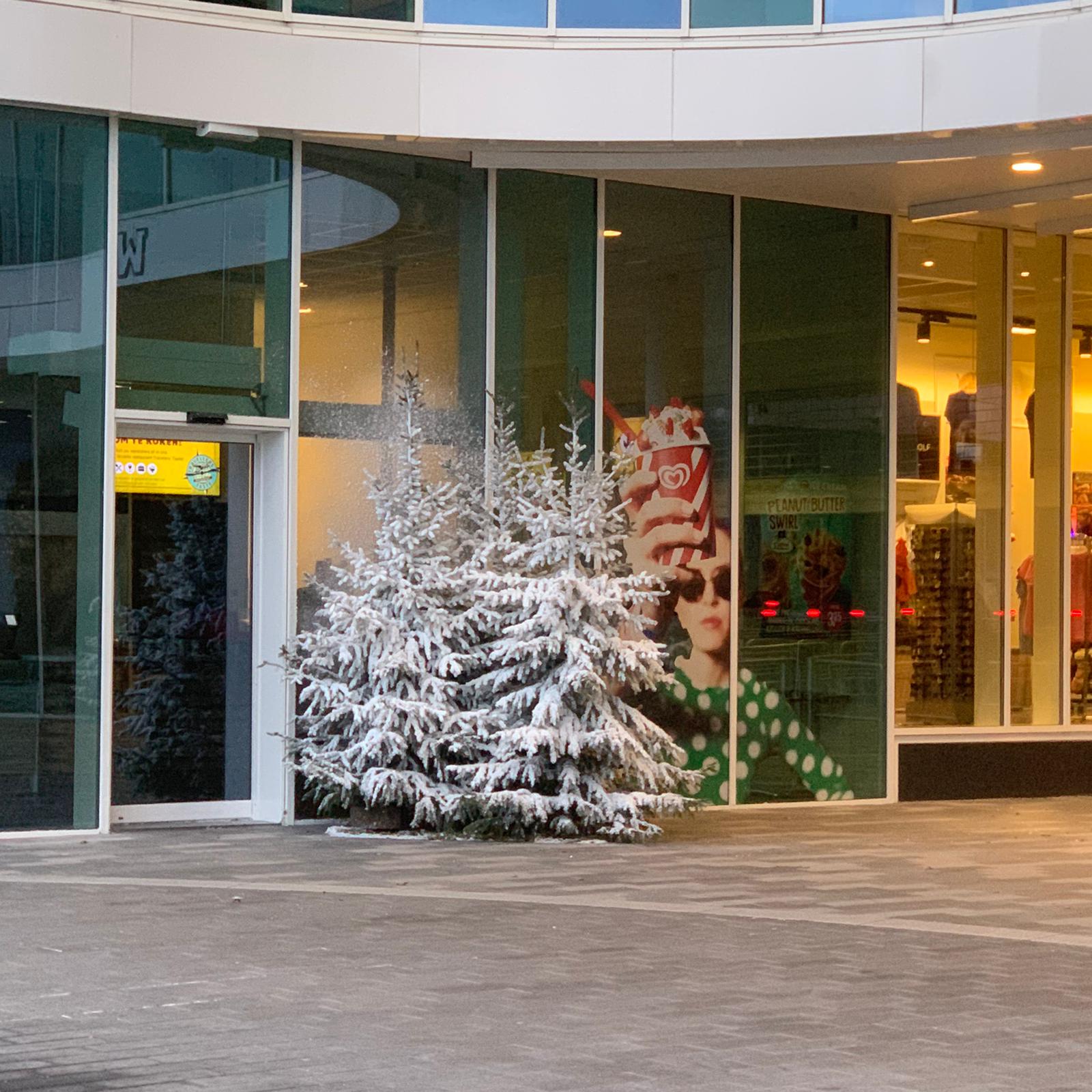 Dierentuin 2 Dierentuin 2