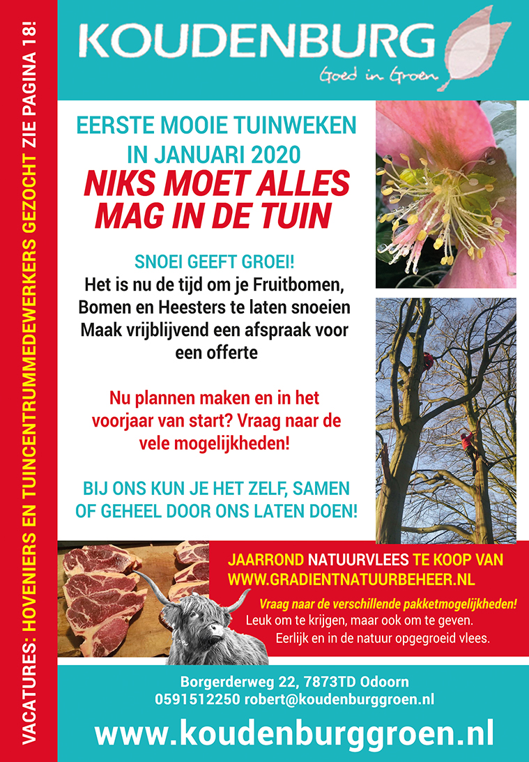 advertentie week 2 2020