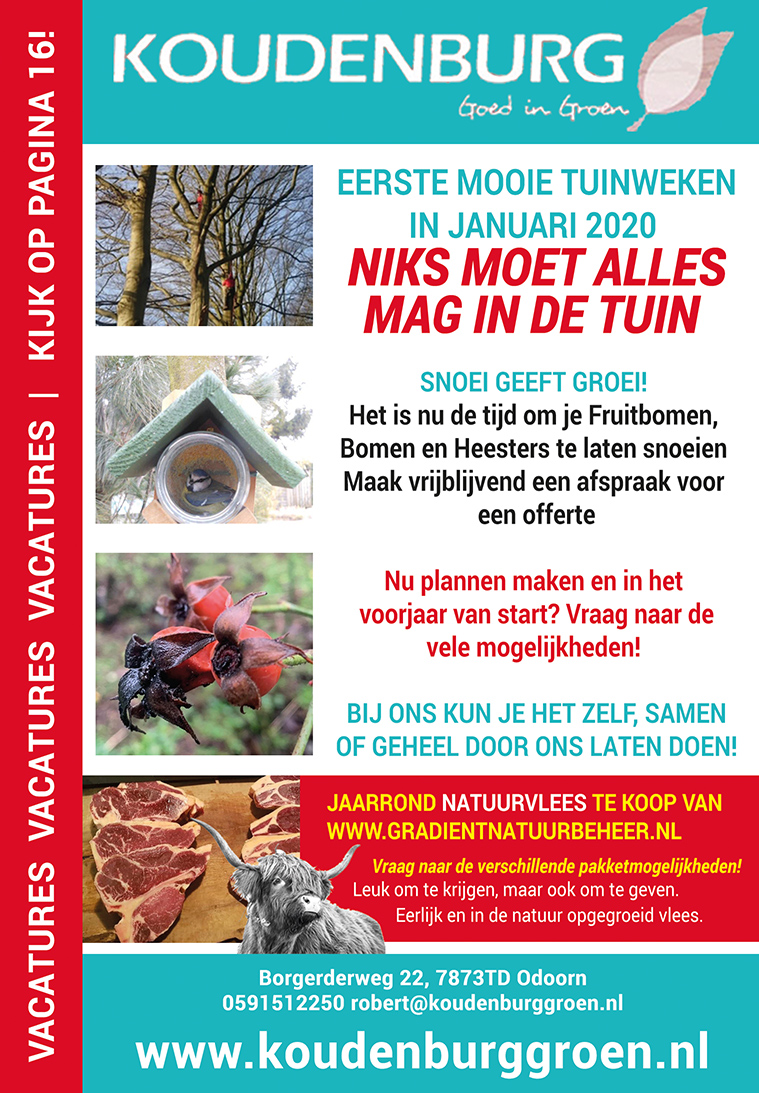 Advertentie week 3 2020