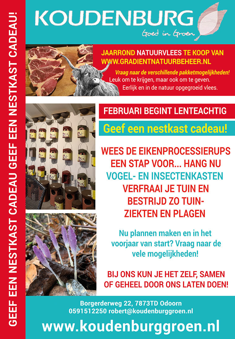 Advertentie week 6 2020