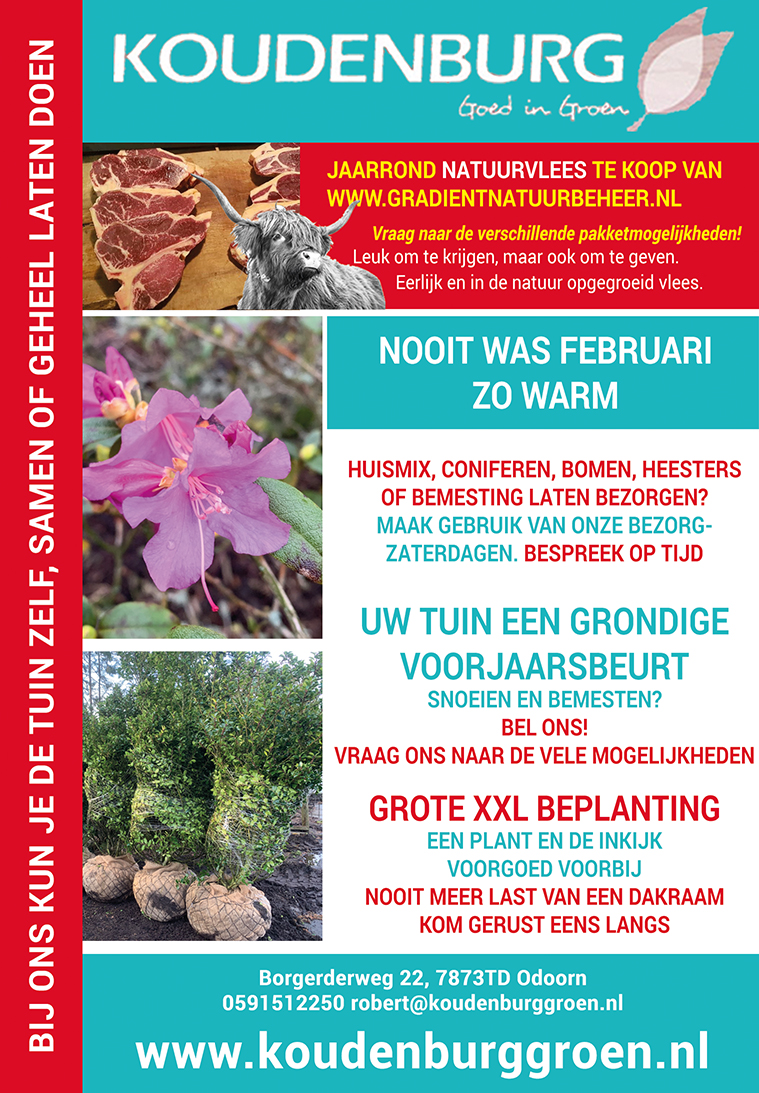 Advertentie week 8 2020