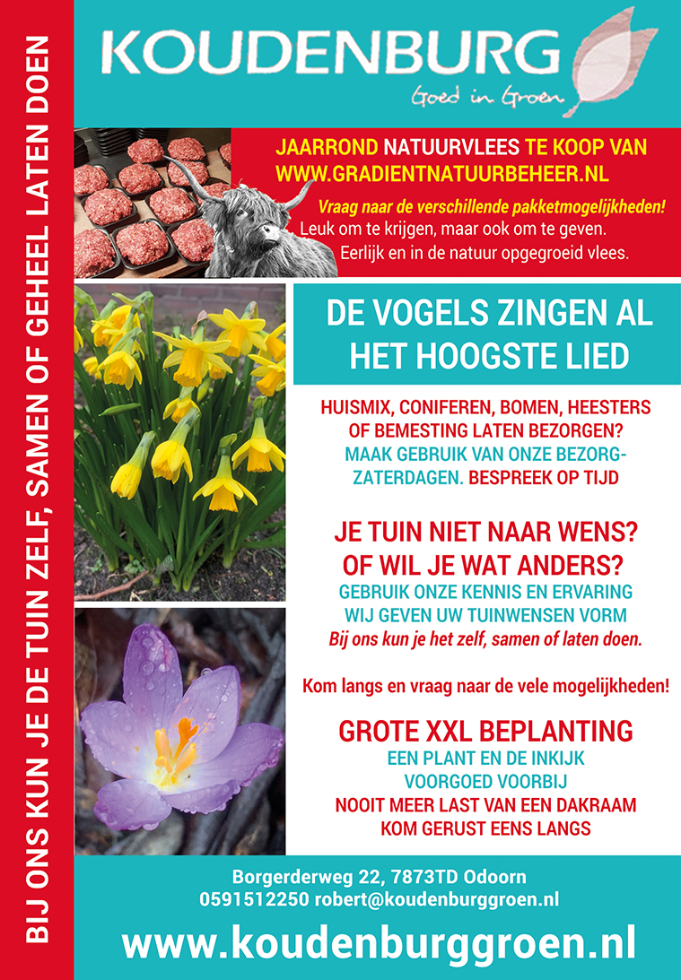 Advertentie week 9 2020