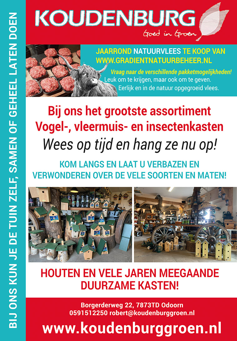 advertentie week 10 2020