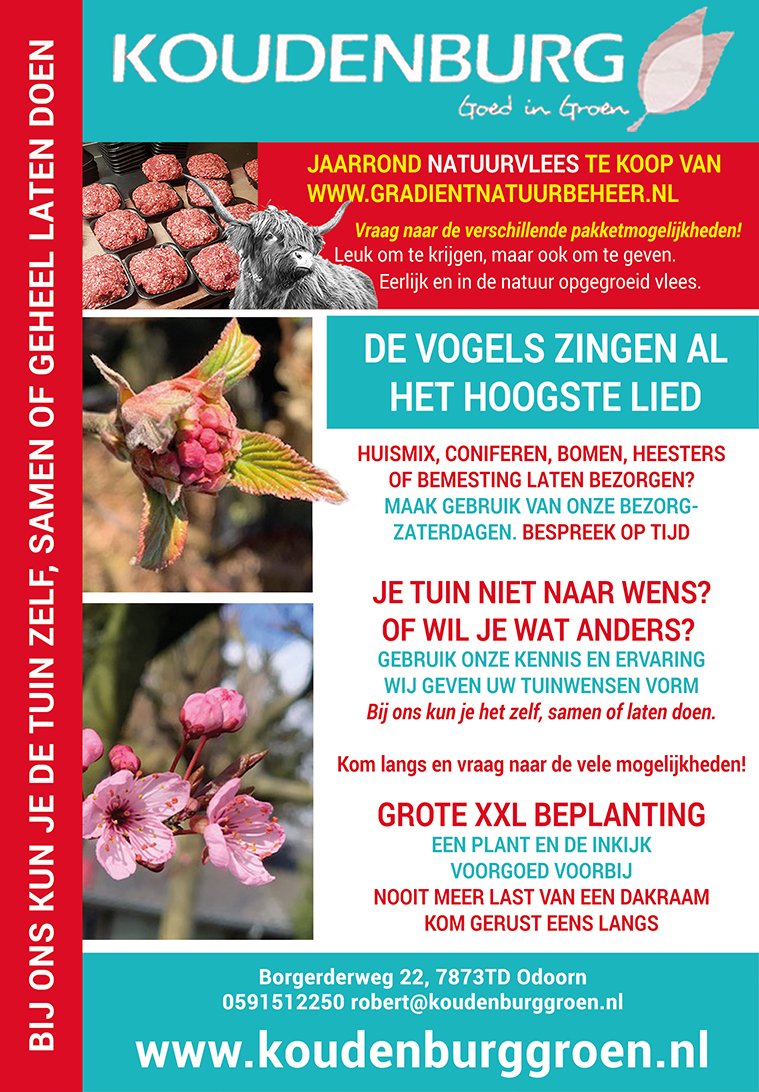 Advertentie week 11 2020