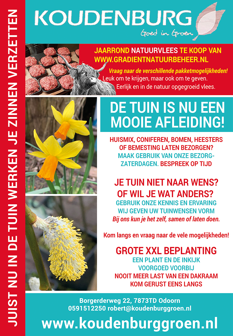advertentie week 12 2020