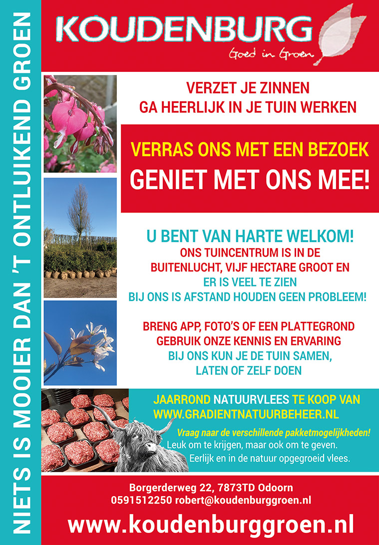 advertentie week 15 2020