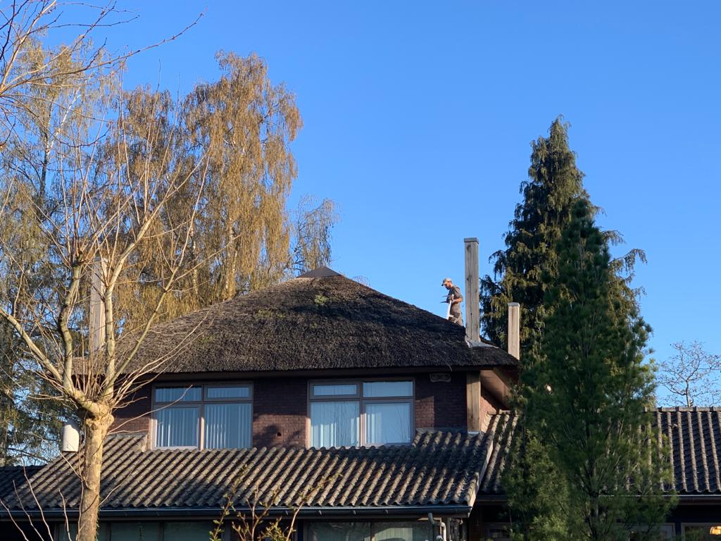 Rieten dak 2