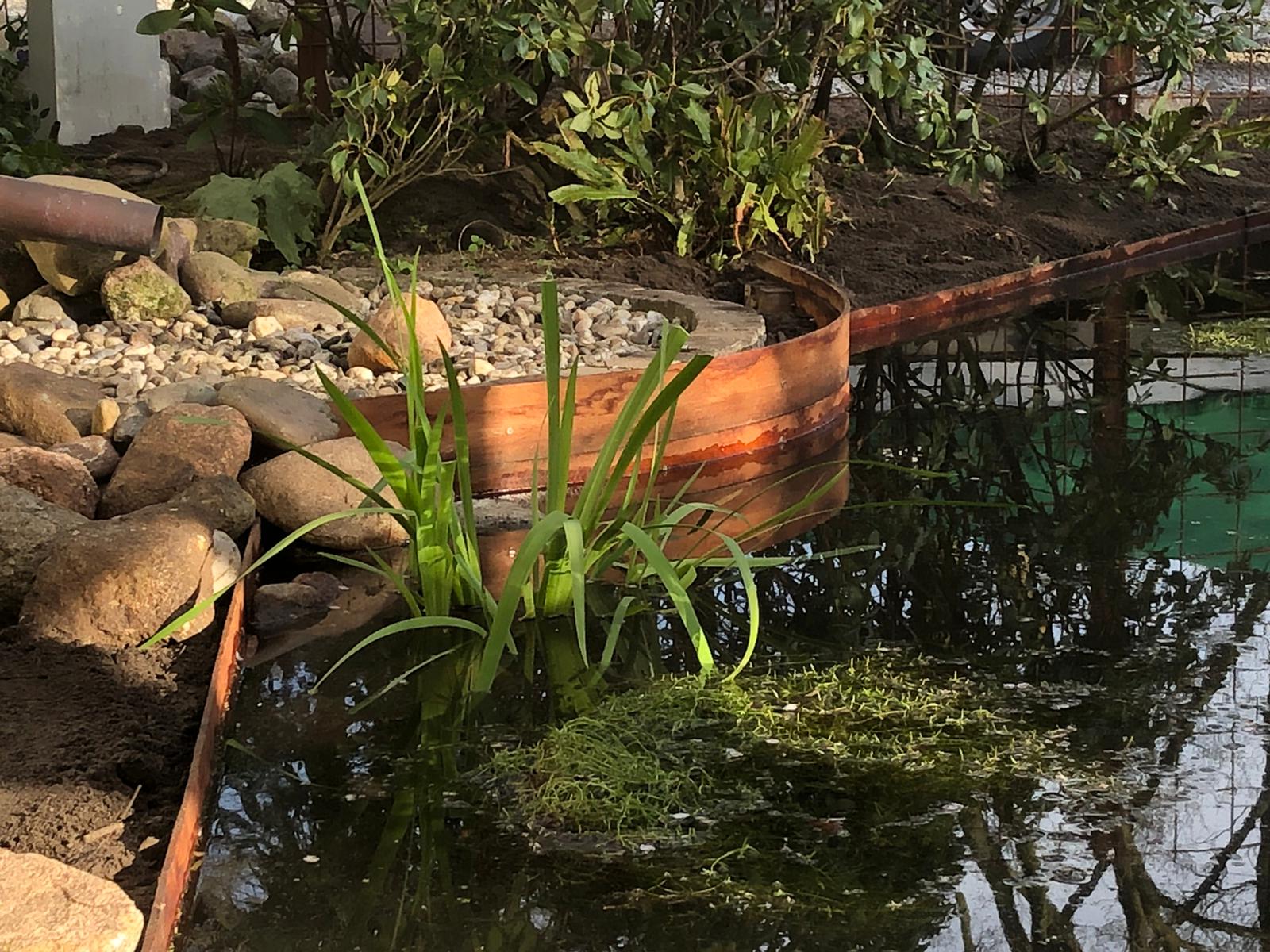 Vijver renovatie 2020 1