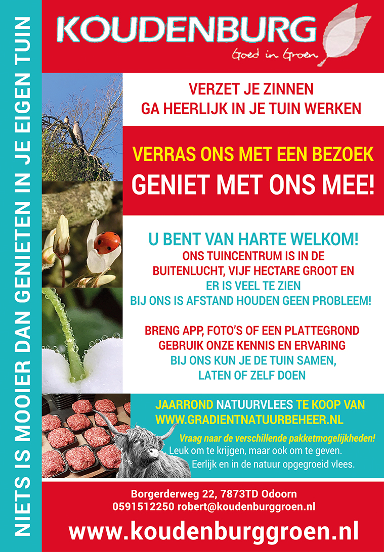 Advertentie week 16 2020
