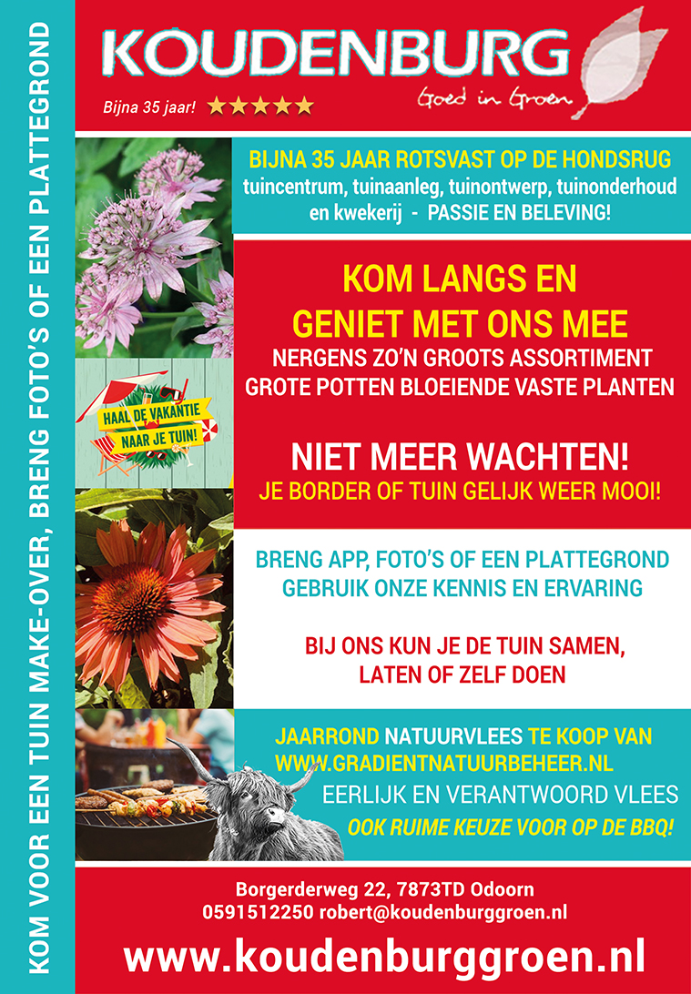 advertentie week 27 2020