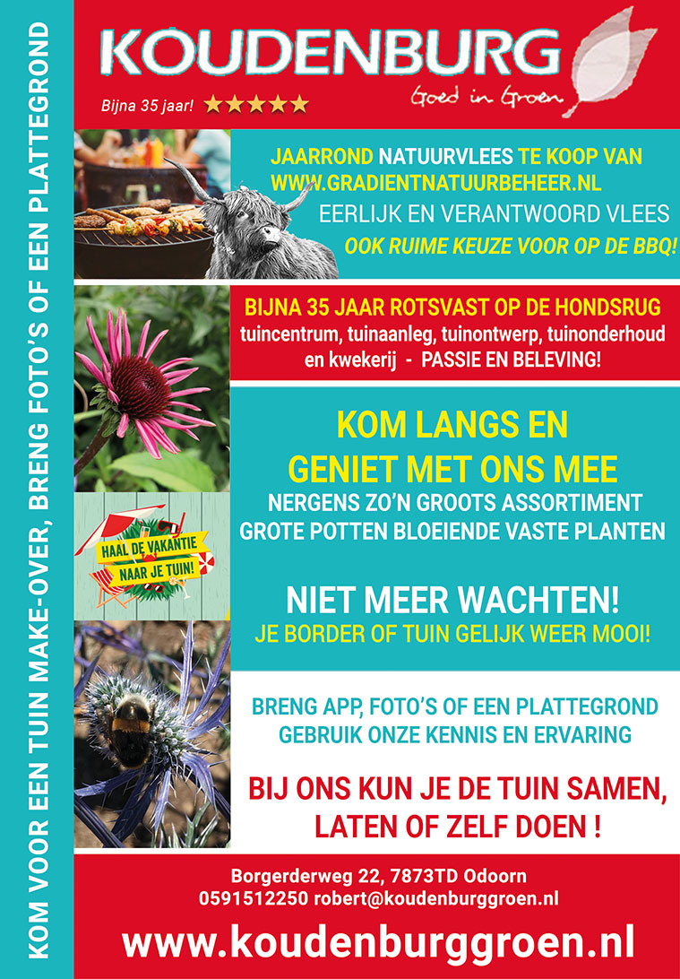 advertentie week 28 2020