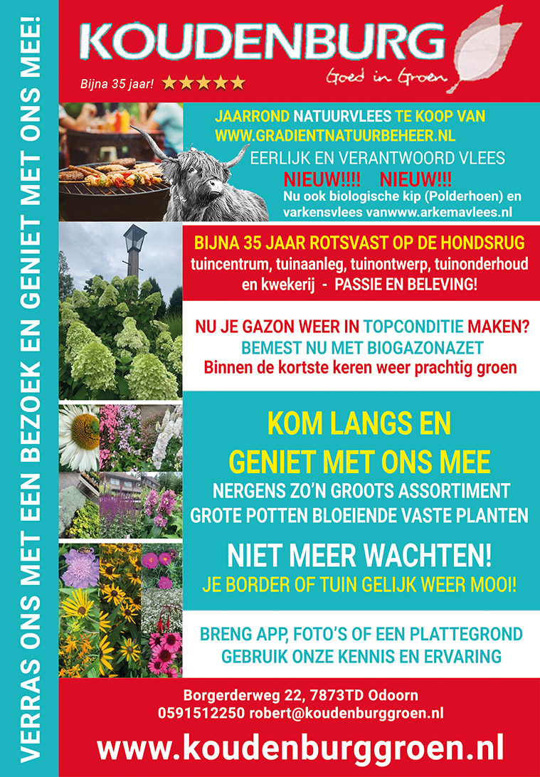 advertentie week 34 2020