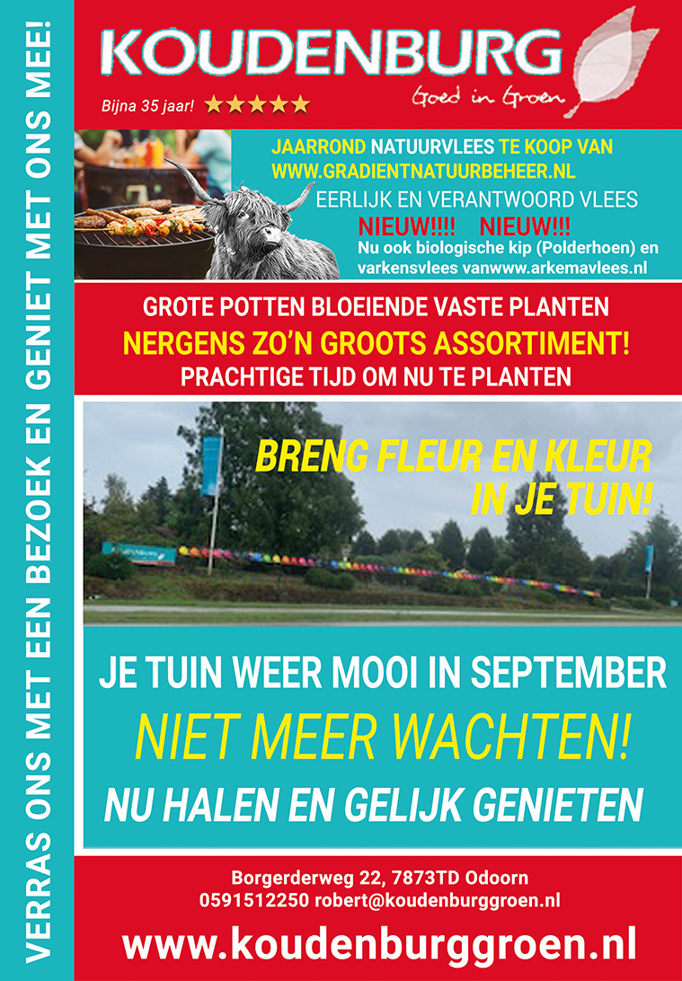 advertentie week 36 2020