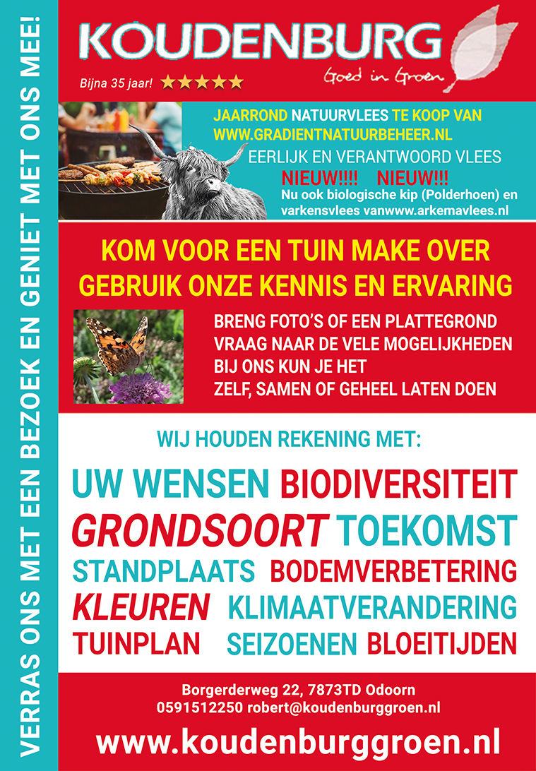 advertentie week 37 2020