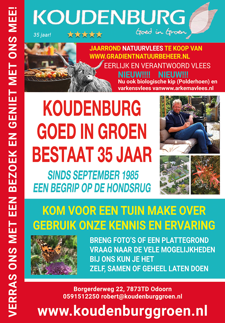 advertentie week 38 2020
