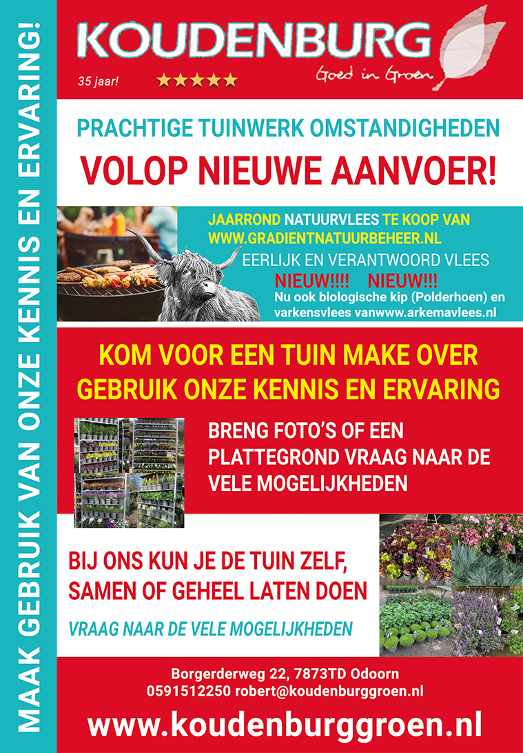 advertentie week 41 2020