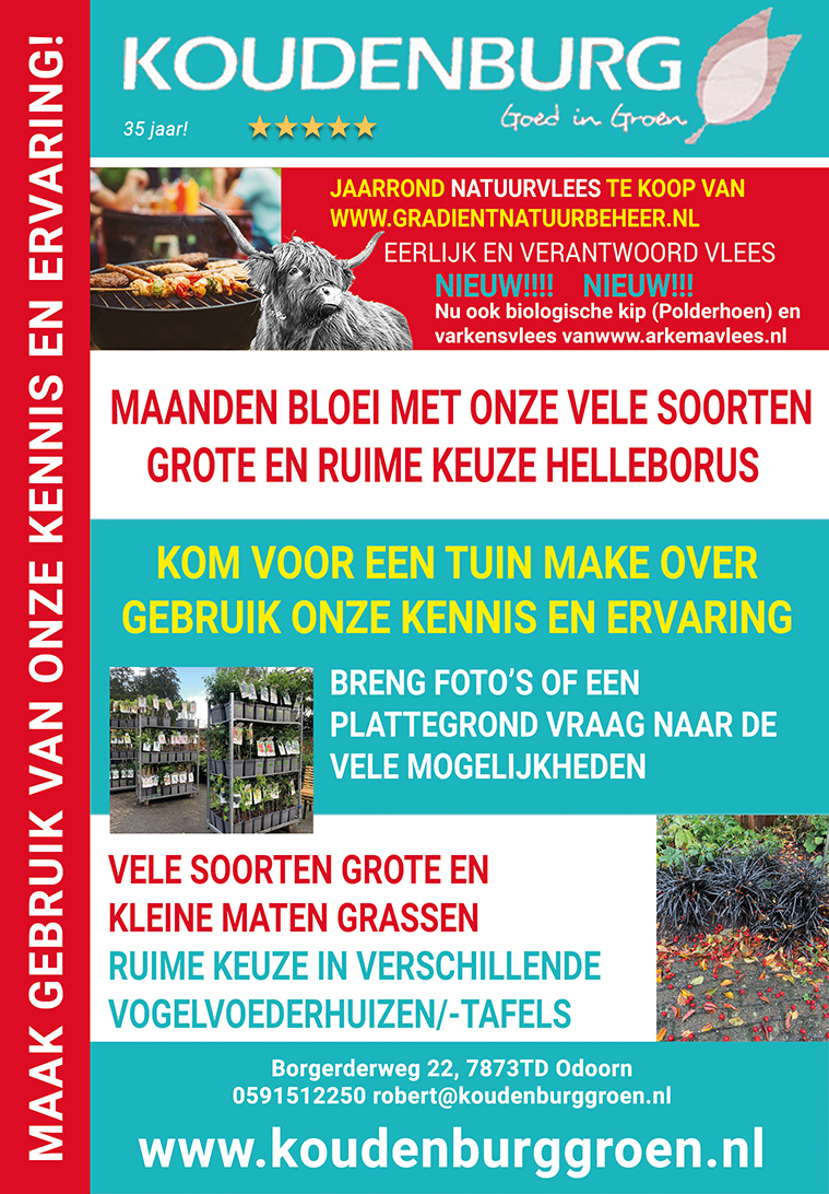 advertentie week 43 2020
