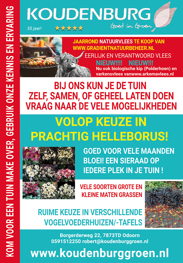 advertentie week 44 2020