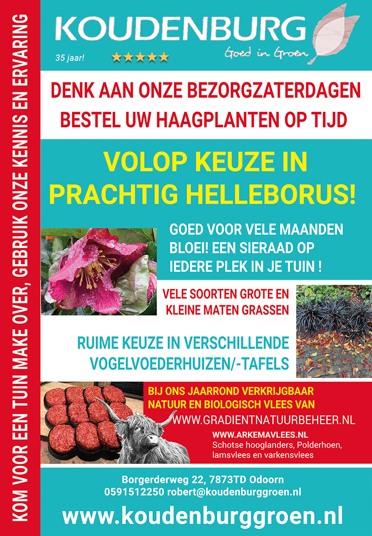 advertentie week 45 2020