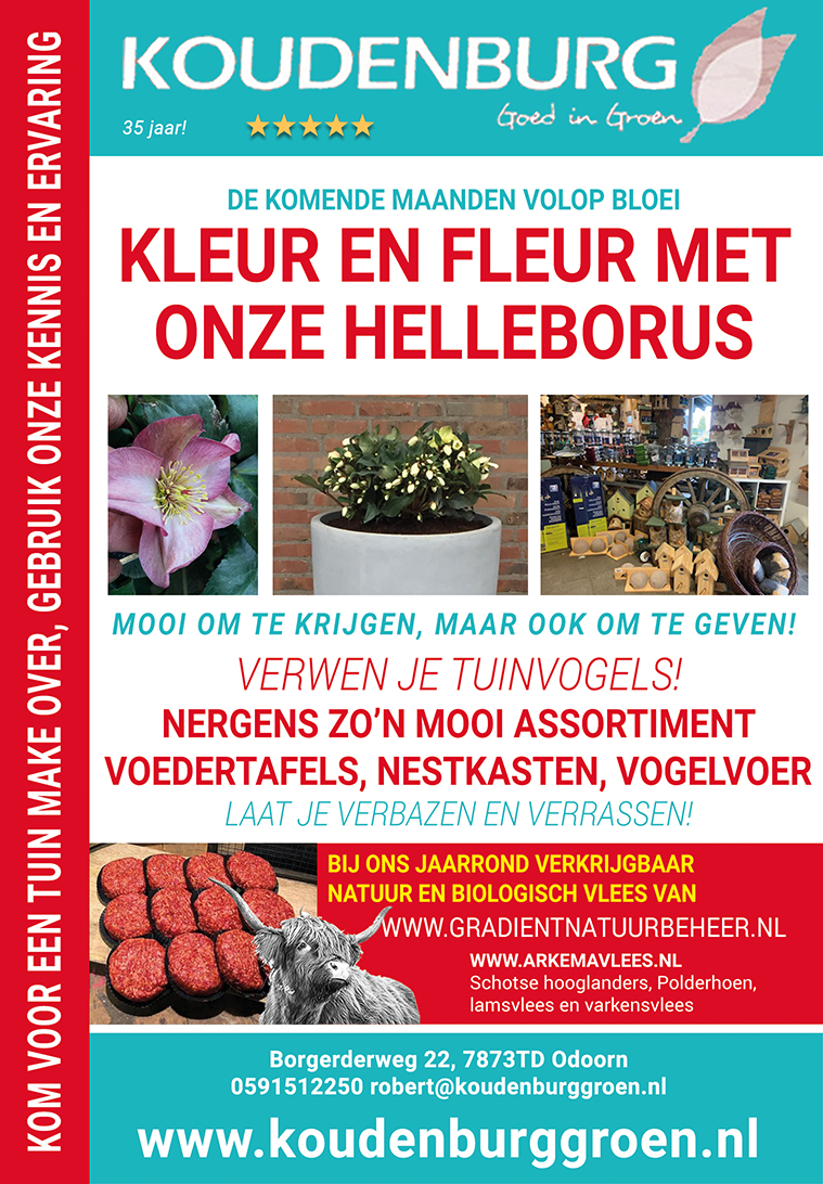 advertentie week 47 2020