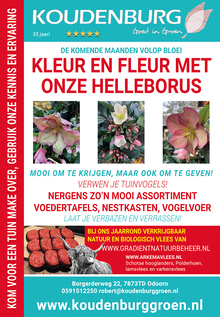 advertentie week 48 2020