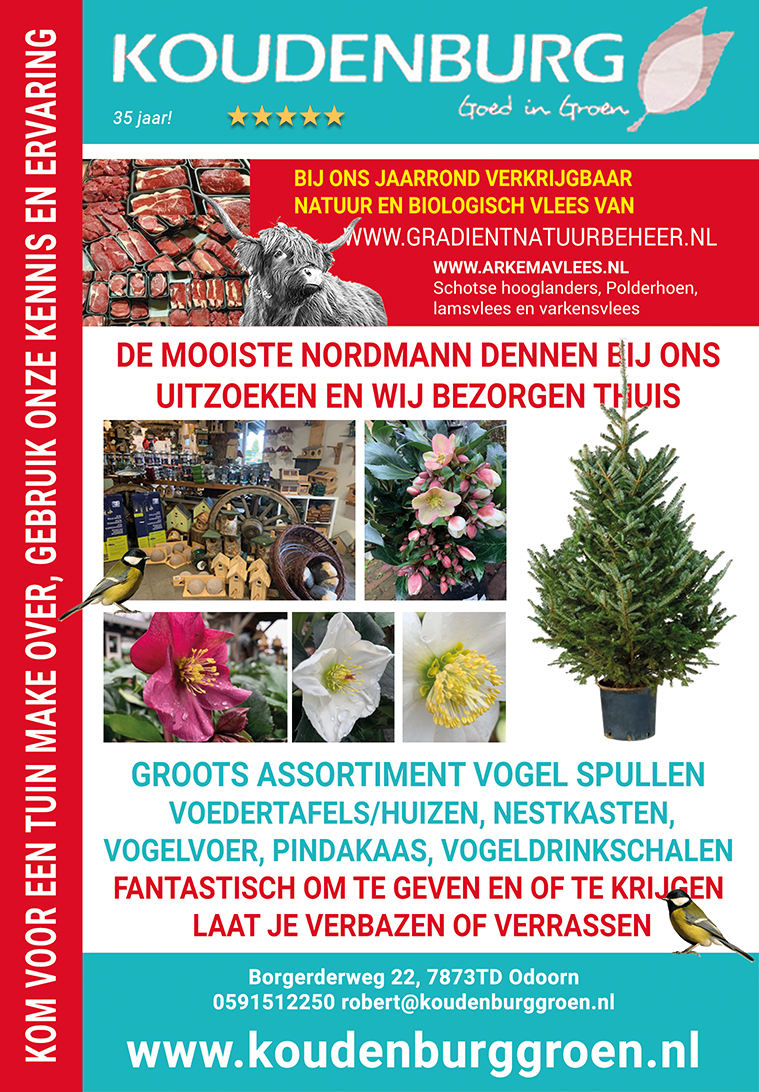 advertentie week 50 2020