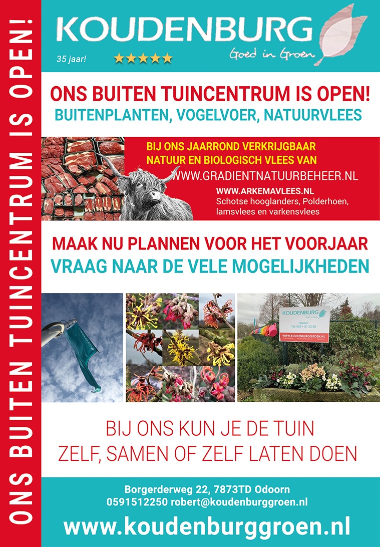 advertentie week 2 2021