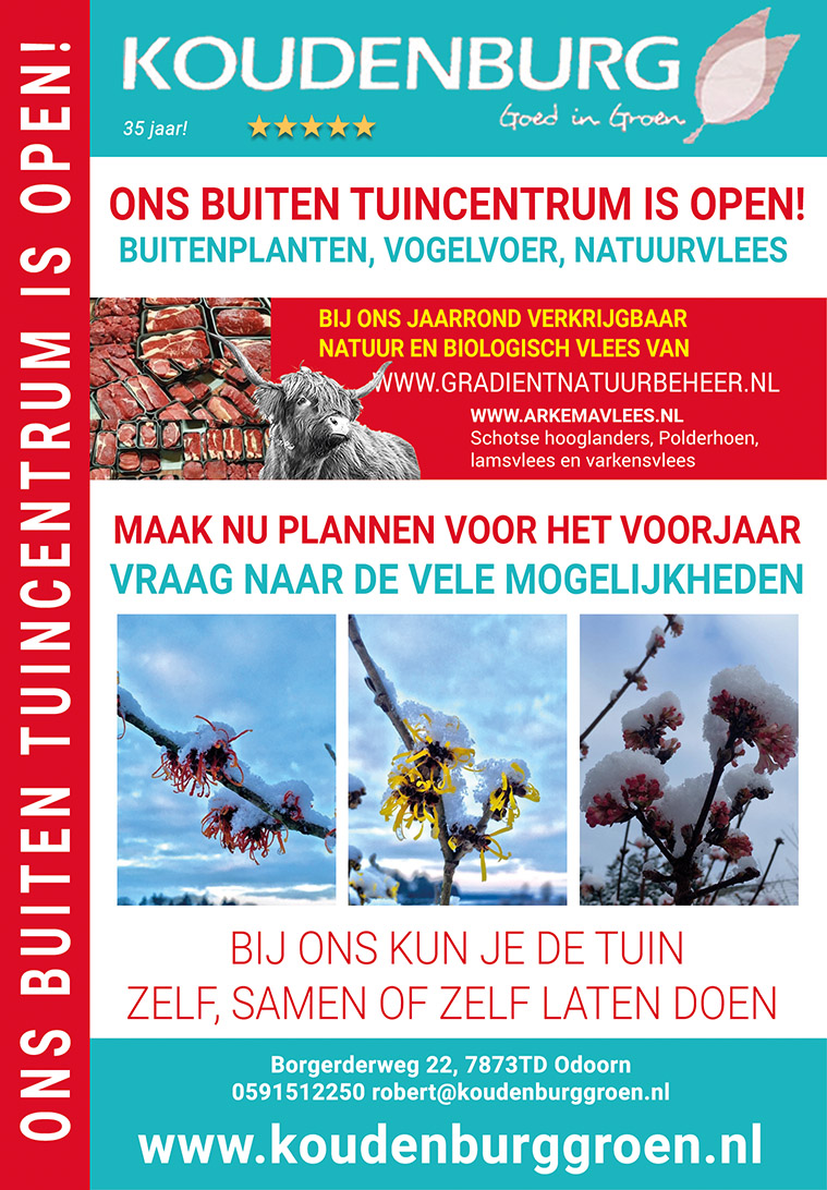 advertentie week 3 2021