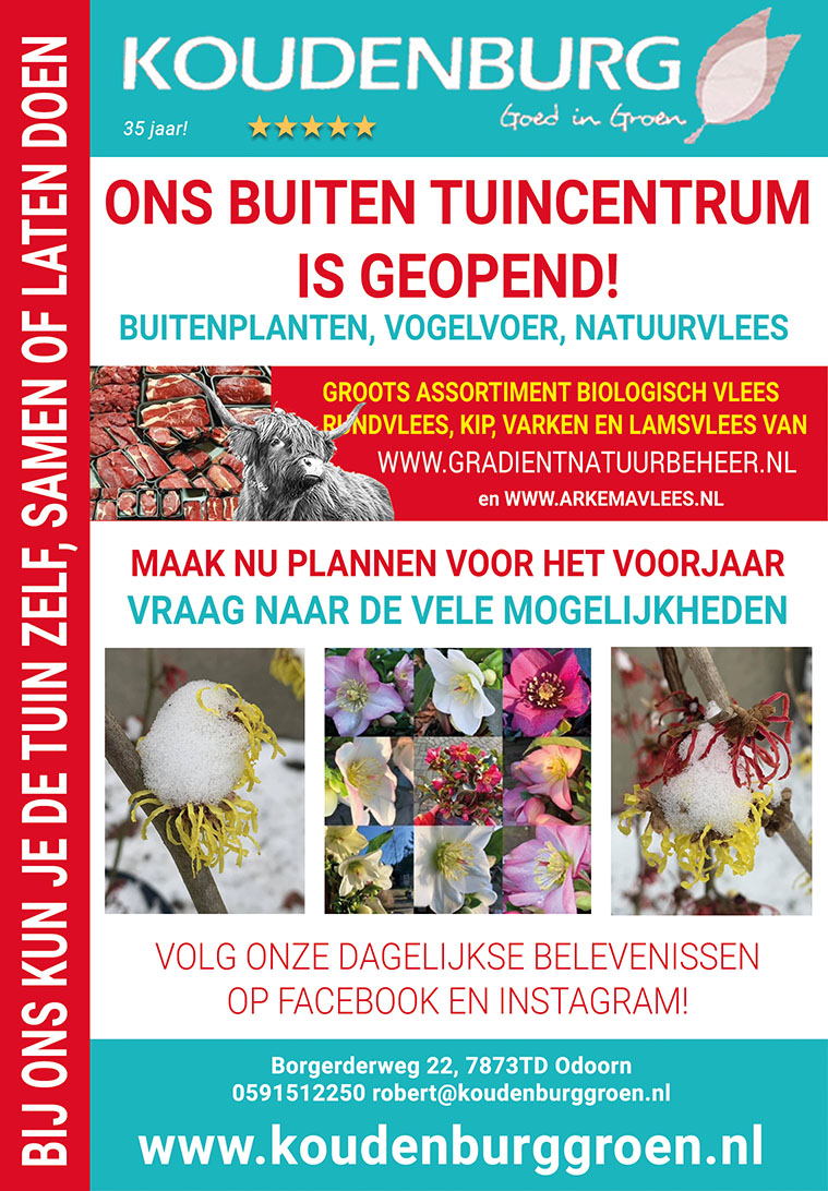 Advertentie week 4 2021