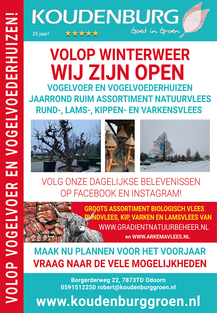 advertentie week 6 2021