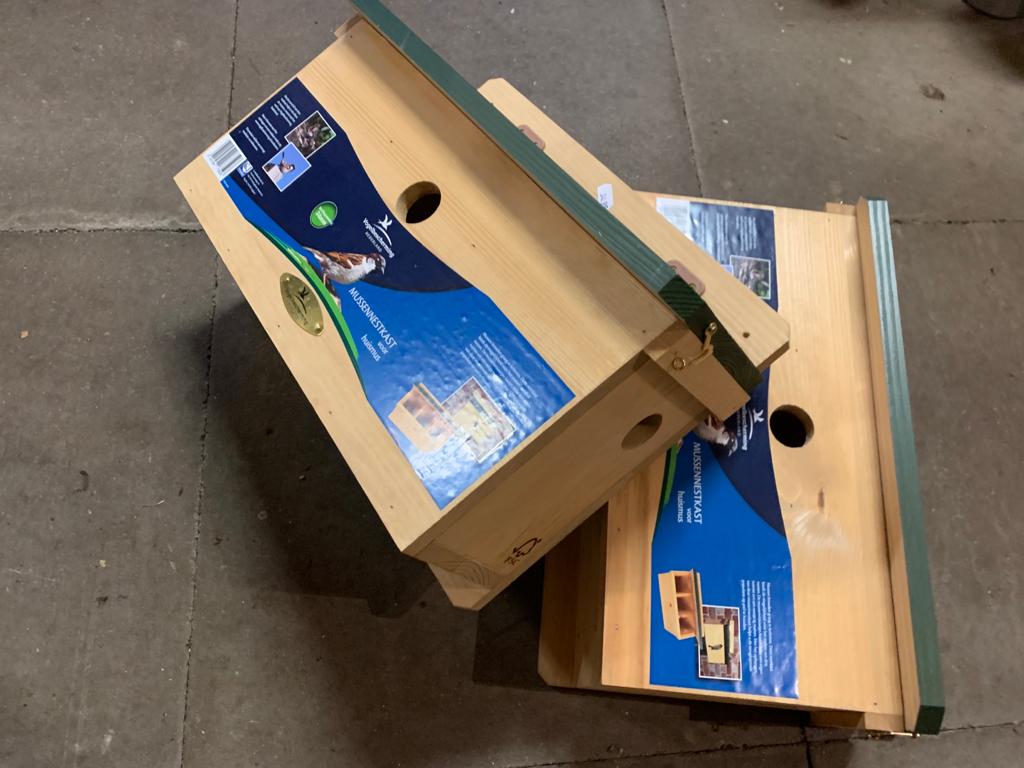 Nestkasten 2021 2