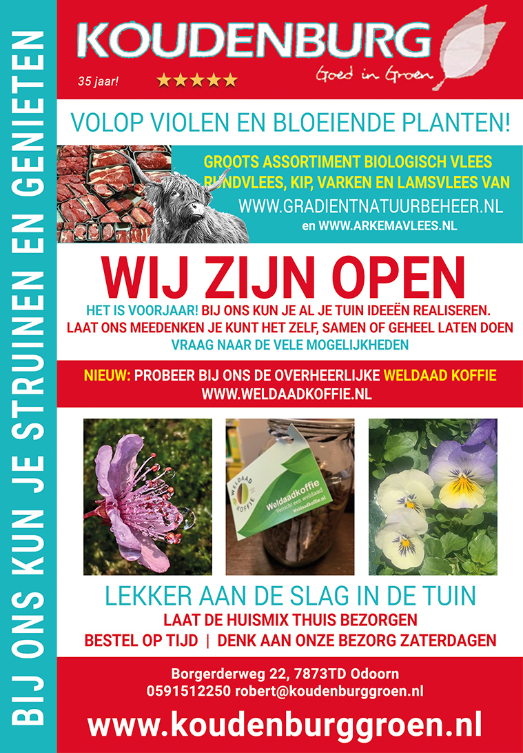 advertentie week 11 2021