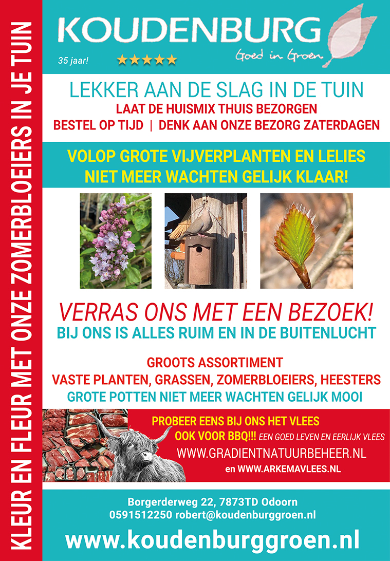 advertentie week 19 2021