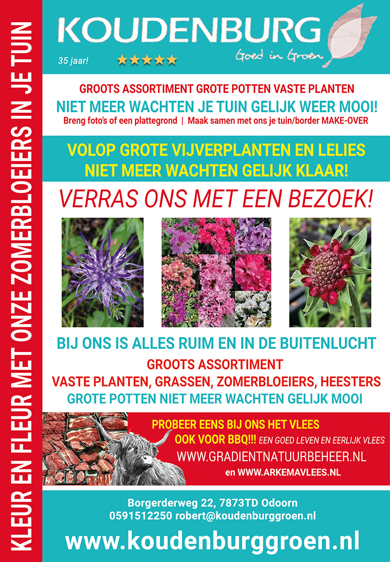 advertentie week 22 2021