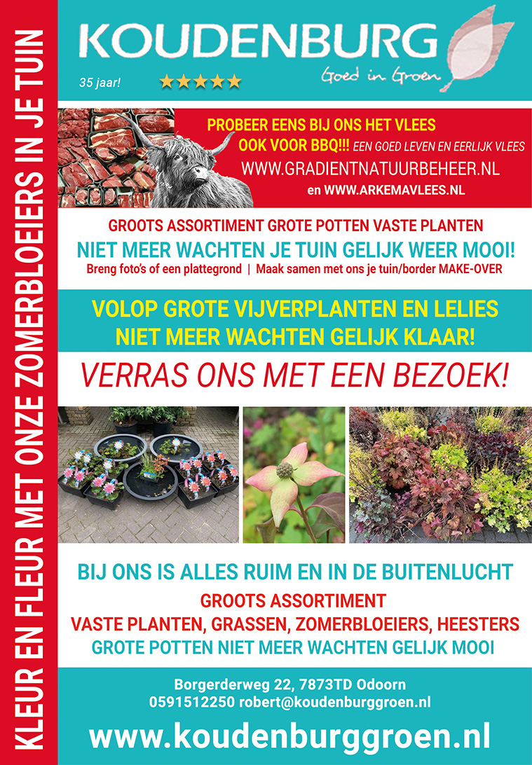 advertentie week 23 2021