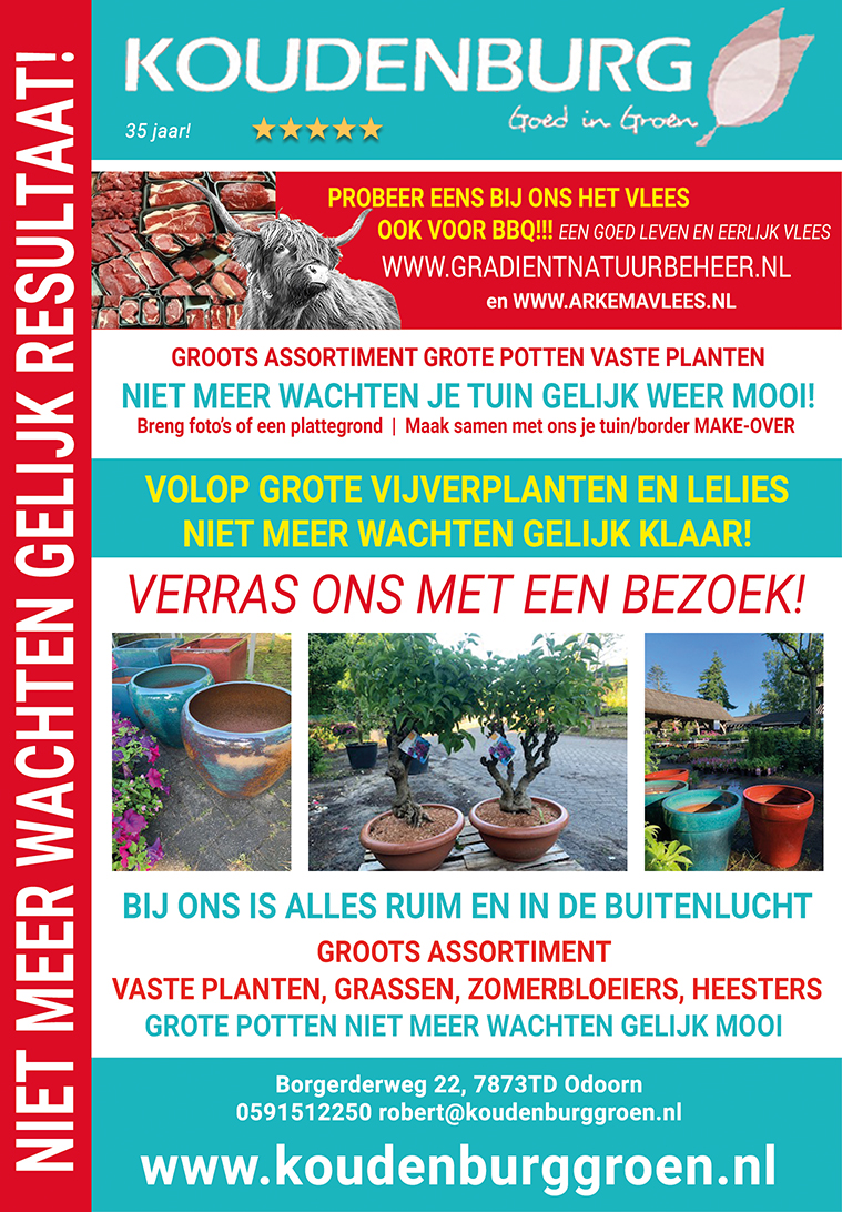 advertentie week 24 2021
