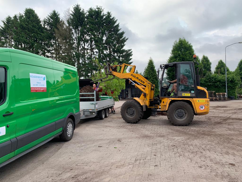 grote beplanting 2021 4