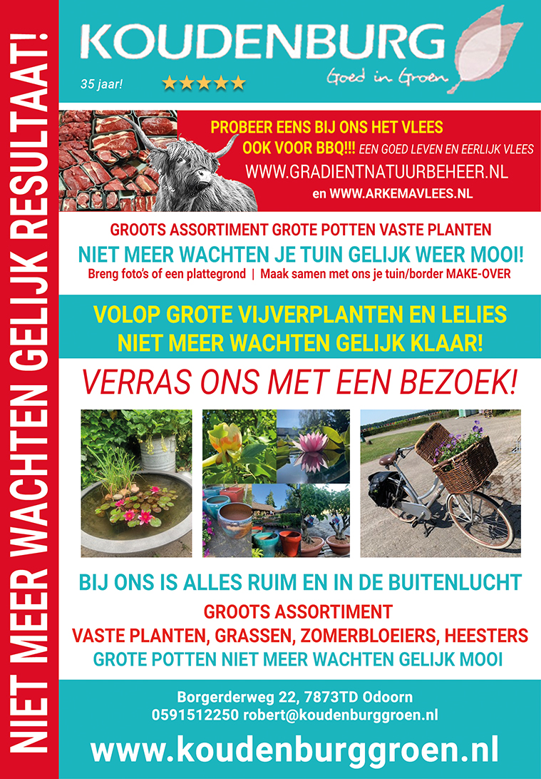 advertentie week 25 2021