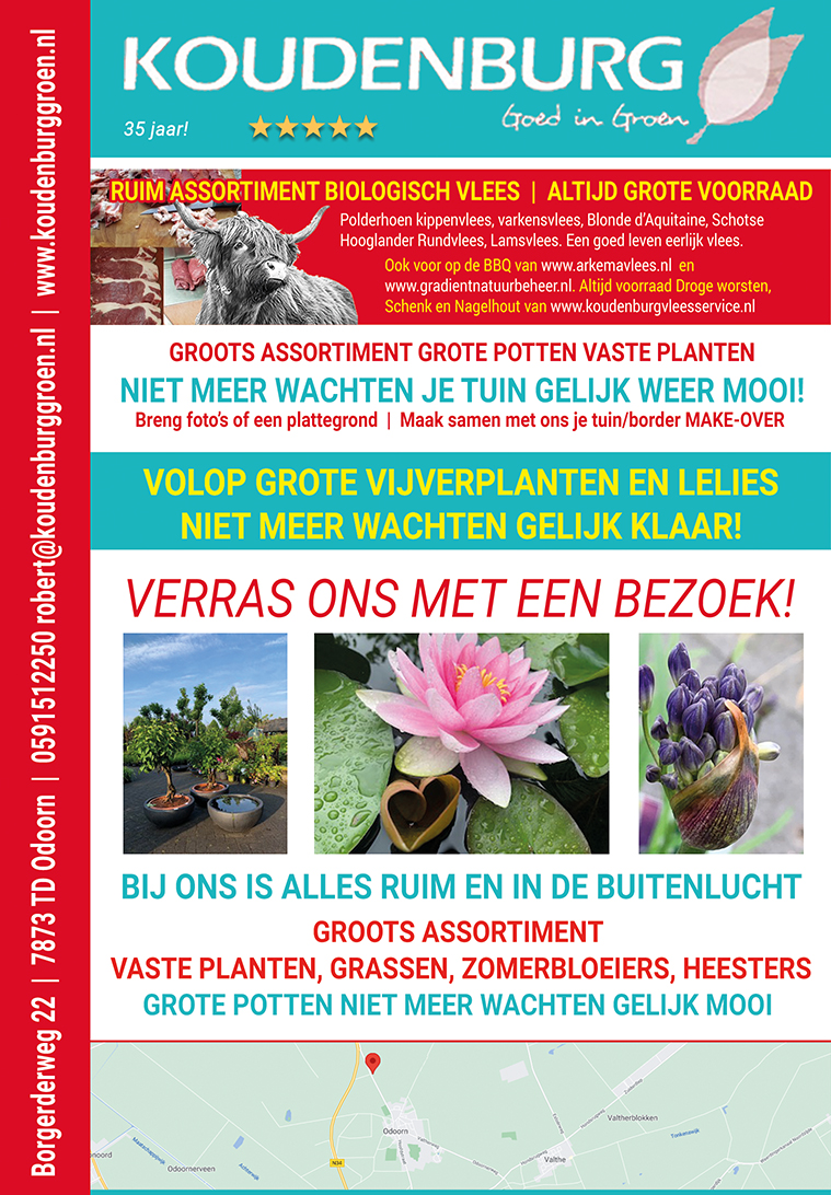 advertentie week 27 2021