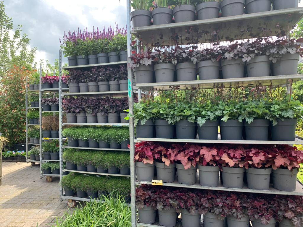 Nieuwe aanvoer 2021 4