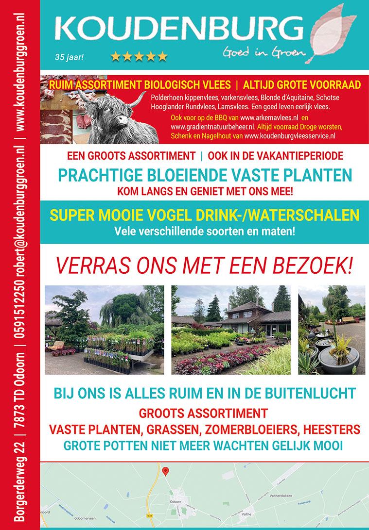 advertentie week 28 2021