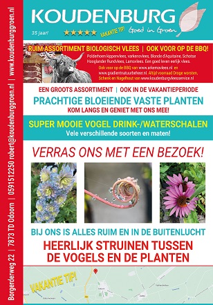 advertentie week 32 2021