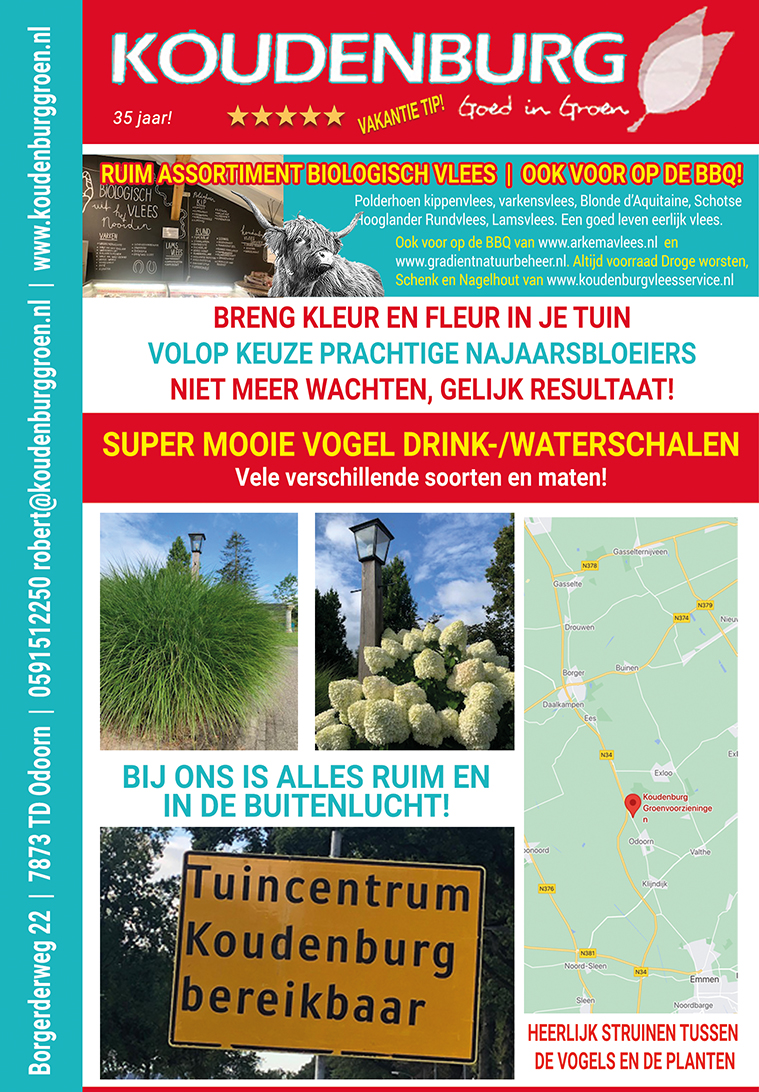 advertentie week 35 2021